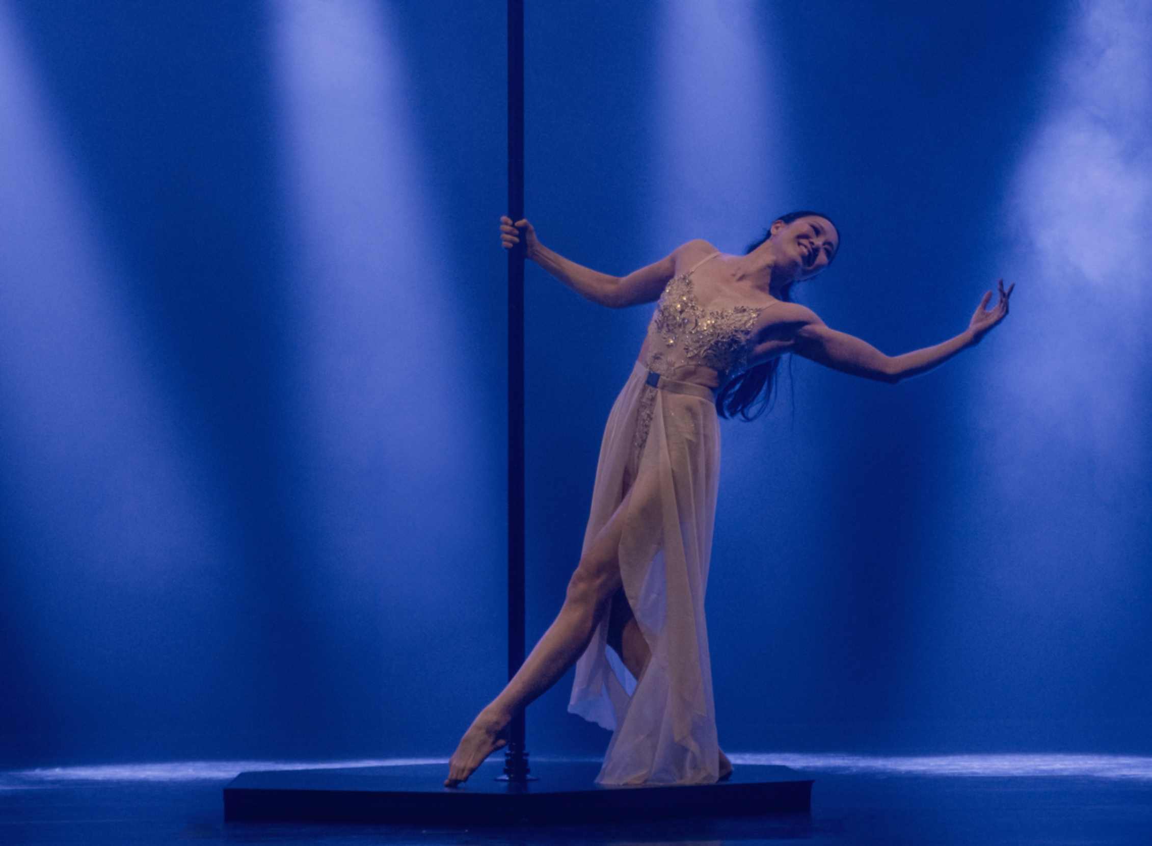 Dance Pole