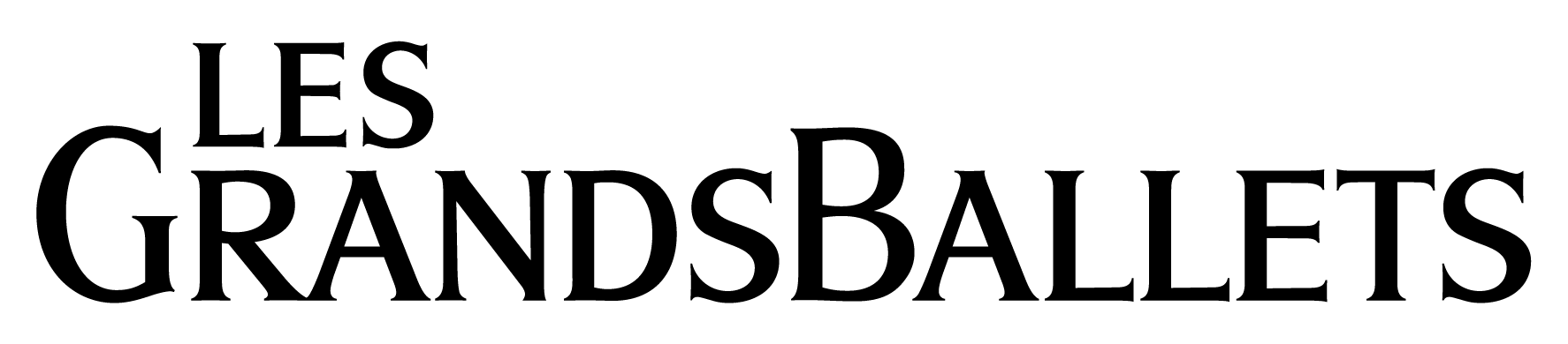 Selected partner logo 9